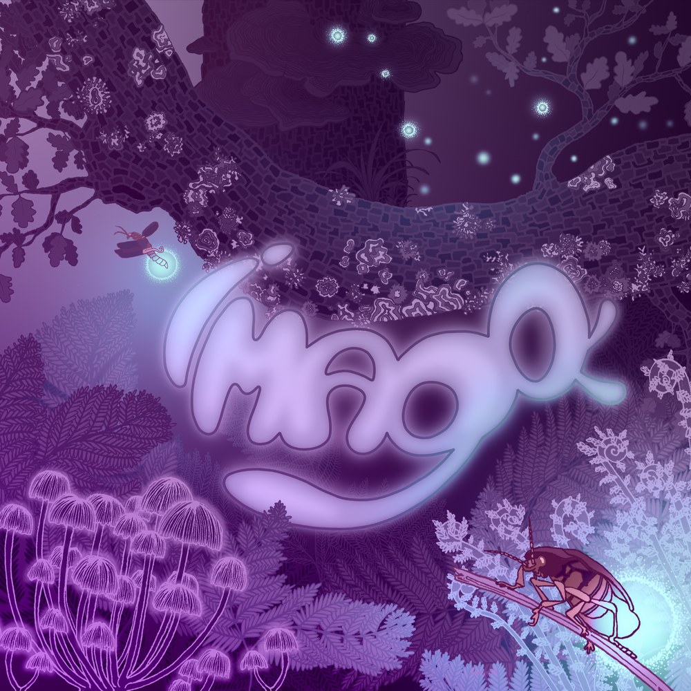 IMAGO - Eclosion (2026)